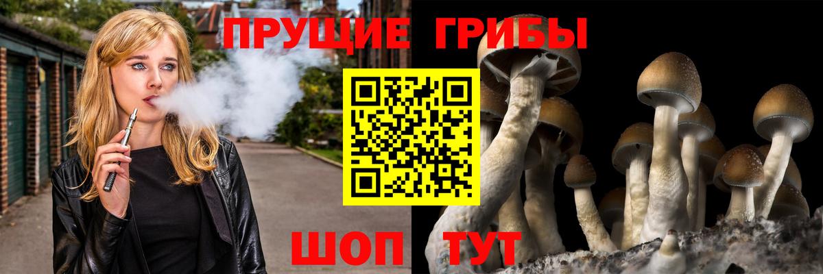 Избербаш  Галлюциногенные грибы Magic Shrooms  Вход с VPN 